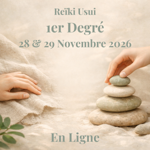 Samedi 28 et Dimanche 29 Novembre 2026 en ligne